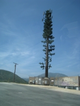 Big Bear Lake