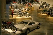 In the museum