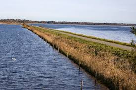 Tour DESMI MC1 image