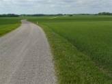 Lidt grusvej