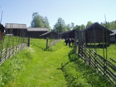 Norrboda Old Village Dalarna