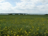 Flotte marker og fin himmel