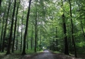 Tour 159HborgSkaaneDyrpark2