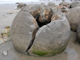 Moeraki Boulders