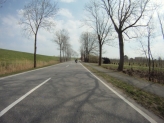 Altes Land, Straße nach Jork