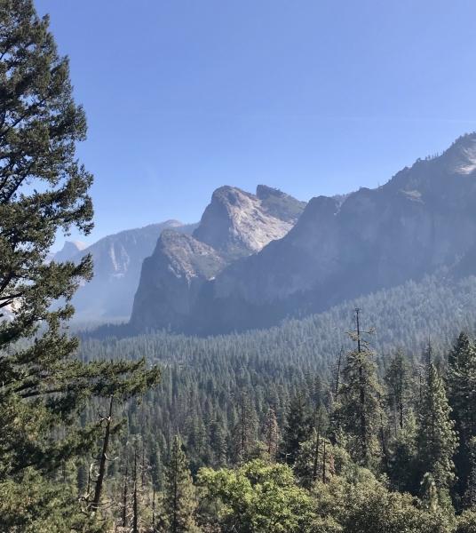 Tour Las Vegas to Yosemite National Park image